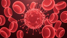 Xác định gene liên quan căn bệnh hiếm gặp về máu