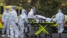 WHO kêu gọi châu Âu có chiến lược khẩn cấp đối phó dịch bệnh