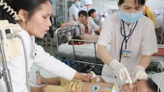 TP. Hồ Chí Minh: 23 người tử vong do sốt xuất huyết; bệnh tay chân miệng 'rục rịch' tăng