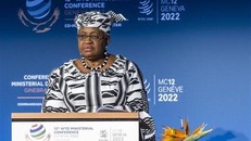 Tổng Giám đốc WTO Ngozi Okonjo-Iweala. (Ảnh: AFP)