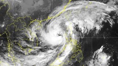 Bão số 7 di chuyển theo hướng Bắc Tây Bắc, mỗi giờ đi được 10 km