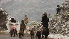 Vùng núi cao khu vực Đông Bắc Bộ có nơi nhiệt độ xuống dưới 11 độ C