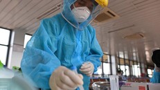 Ngày 4/11: Số mắc mới COVID-19 giảm sâu, còn 339 ca