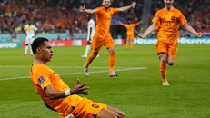 Hà Lan đang đứng trước cơ hội sớm giành vé đi tiếp. (Nguồn: AP)