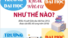 Đại học và trường đại học khác nhau như thế nào?