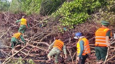 Cà Mau: Khẩn trương tìm kiếm cán bộ đi làm nhiệm vụ bị rơi xuống biển