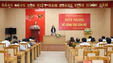 Quảng Ngãi thi hành kỷ luật một số tổ chức Đảng và đảng viên vi phạm