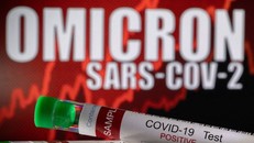 TP Hồ Chí Minh xuất hiện biến thể phụ XBB của Omicron