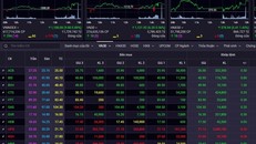 Mã xanh áp đảo, VN-Index tăng gần 10 điểm phiên cuối trước kỳ nghỉ Tết