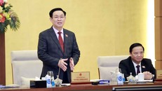 Xem xét mở rộng đối tượng của Pháp lệnh Xử phạt vi phạm hành chính trong lĩnh vực kiểm toán nhà nước