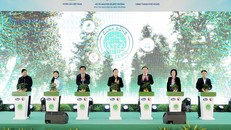 Phó Thủ tướng Trần Hồng Hà cùng các đại biểu thực hiện nghi thức khởi động dự án trồng cây hướng đến Net Zero.