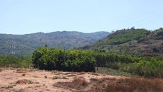 Đến hết năm 2021, cả nước còn gần 1,2 triệu hécta đất chưa sử dụng