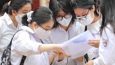 Tuyển sinh đại học cơ bản giữ ổn định