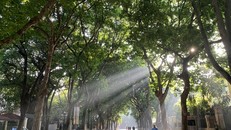 Khu vực Bắc Bộ và Thủ đô Hà Nội có mưa vài nơi, trưa chiều nắng