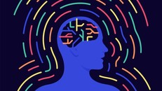 Xác định hệ thống chưa từng biết đến trong vùng vỏ não vận động