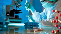 Phát hiện protein trong hệ miễn dịch giúp chống vi khuẩn gây hoại tử