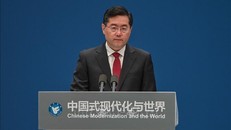 Ủy viên Quốc vụ, Bộ trưởng Ngoại giao Trung Quốc Tần Cương.