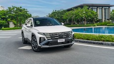 TC Group thông báo kết quả bán hàng Hyundai tháng 10/2025