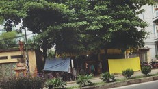 Vụ tự thiêu ở Thái Bình: Màu tang thương phủ lên cả khu phố