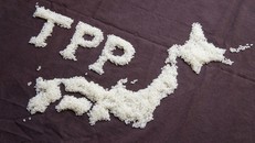 Hiệp định CPTPP sẽ được ký kết vào tháng 3 tới tại Chile