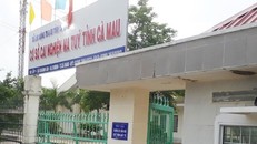 Tranh thủ lúc lao động, 25 học viên "rủ nhau" trốn cơ sở cai nghiện tại Cà Mau