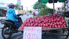 Lại giải cứu thanh long