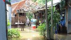 Triều cường ở Cần Thơ đạt đỉnh, đê bao tiếp tục vỡ