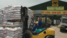 Tập đoàn Hóa chất sắp nhận gần 75 tỷ tiền mặt từ Phân bón Bình Điền