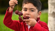 Tây Ban Nha: Đón năm mới theo phong tục truyền thống, bé trai tử vong do mắc nghẹn