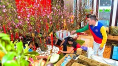 Nghệ sĩ Việt trang hoàng nhà cửa chuẩn bị đón Tết