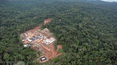 Amazon mất 30 triệu ha rừng nguyên sinh trong 17 năm