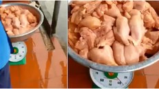 35kg thịt gà ôi thiu được 'tuồn' vào trường tiểu học tại Hà Nội: 'Thịt chỉ có mùi lạ'