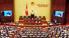 Quốc hội nghe báo cáo về Dự án luật sửa 2 luật