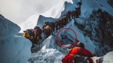 Bức ảnh khiến cư dân mạng đau xót. (Nguồn: The Sun)