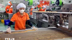 Kinh tế tư nhân được đặt nhiều kỳ vọng bứt phá và phát triển, đưa kinh tế đất nước vững mạnh bước vào kỷ nguyên mới. Ảnh: Thế Duyệt/TTXVN