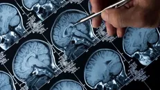 Ảnh minh họa. Nguồn: Getty/iStock