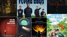 Tổng hợp 7 dự án Việt Nam được chọn.