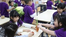 Dự án “Healthy Me” giúp các em học sinh Trường phổ thông liên cấp Olympia (Hà Nội) nhận thức và hình thành thói quen lành mạnh về dinh dưỡng