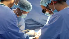 Một ca ghép thận cho trẻ tại Bệnh viện Nhi đồng 2