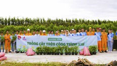 Tập thể CBCNV PV GAS CA MAU tham gia chương trình trồng 500 cây hoàng yến