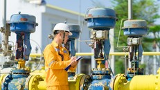 PV GAS D là đối tác tin cậy và chiến lược của các đối tác trong và ngoài nước