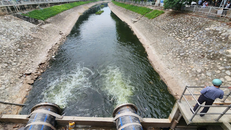 Sông Tô Lịch dần đổi màu sau khi nhận nguồn nước từ hồ Tây.