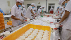 Sản xuất bánh dẻo