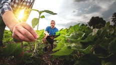 Châu Âu thông qua quy định mới nhằm đảm bảo an ninh lương thực, duy trì nước sạch và bảo vệ môi trường