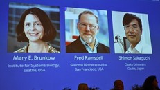 Chân dung 3 nhà khoa học được nhận giải