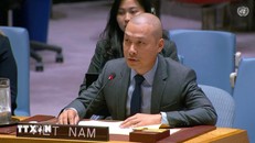 Công sứ Nguyễn Hoàng Nguyên phát biểu tại phiên thảo luận của Hội đồng Bảo an.