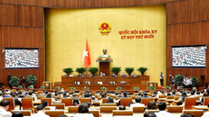 Quang cảnh phiên họp.