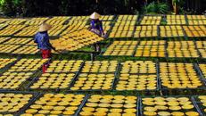 Bằng sự khéo léo và sáng tạo, phụ nữ Đồng bằng sông Cửu Long đã biến những sản vật sẵn có tại địa phương thành các sản phẩm có giá trị gia tăng cao.