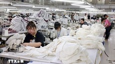 May hàng xuất khẩu. Ảnh: Trần Việt/TTXVN.