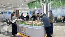 Được phát triển theo mô hình all-in-one tiên phong, Happy Home Tràng Cát thu hút mạnh mẽ sự quan tâm của người lao động Hải Phòng